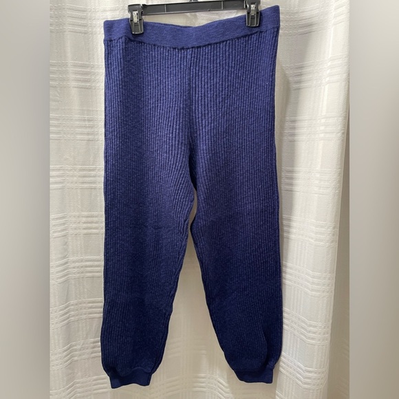 Free People Pants - Free People beach sweater knit blue joggers